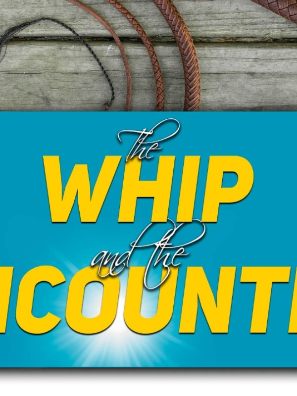 The Whip and the Encounter